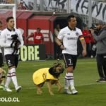 Colo Colo 3- Unión de Amigos de los Animales – colocolo.cl