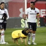 Colo Colo 4- Unión de Amigos de los Animales – colocolo.cl