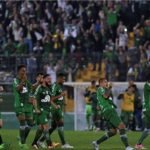 chapecoense zimbiocom