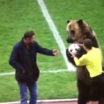 Oso pardo abrió un partido de fútbol en Rusia – antena3.com