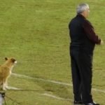 1 Tesapara – Perra del Club Sportivo 2 de Mayo – clarin.com