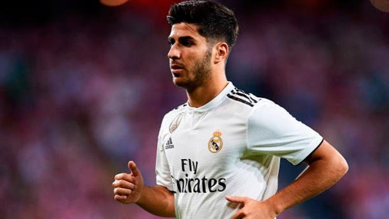 marco asensio real madrid zimbiocom