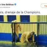 meme suspension copa libertadores final boca juniors river plate captura de pantalla 5