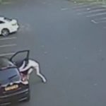 Riccardo Calder – lavanguardia.com