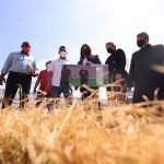 restauracion pachencho romero RayoDvo twitter 3