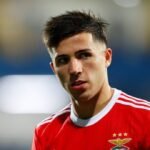 enzo fernandez benfica mirrocouk