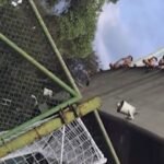 Lamentable: Fanáticos del Carabobo FC gritan insultos racistas a jugadores de Atlético Mineiro